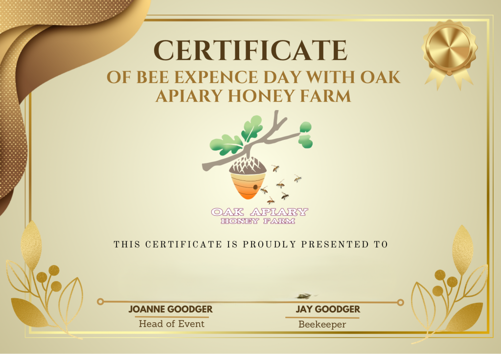 BEE EXPERIENCE DAY