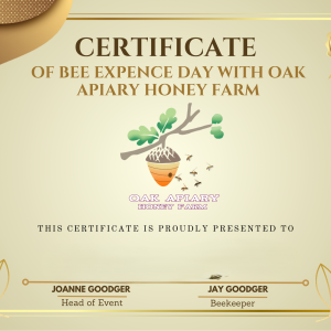 BEE EXPERIENCE DAY